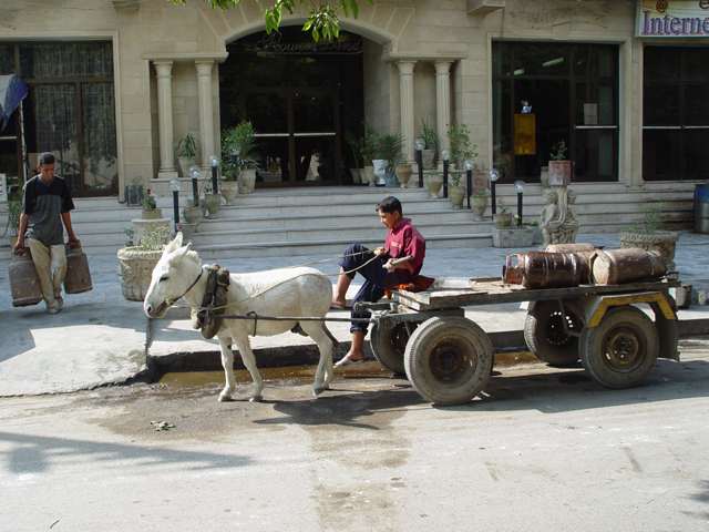 Donkey Cart In Front Of Hotel