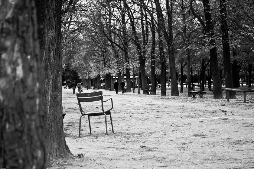 A Chair in Jardin du Luxembourg