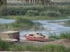 Boat On The Banks Of The Tigris River