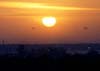 Two Helicopters At Sunset In Baghdad 