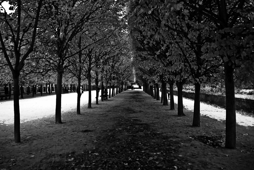 Jardin du Palais Royal