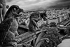 Two Gargoles on Notre Dame